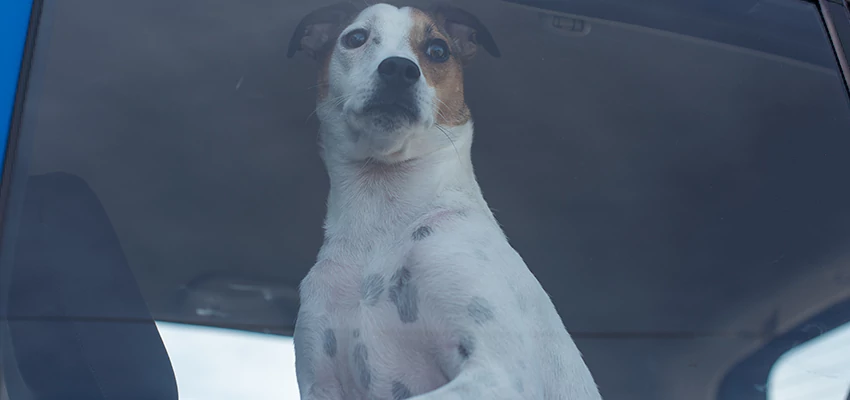 Car Lockout Solutions in Placentia, California